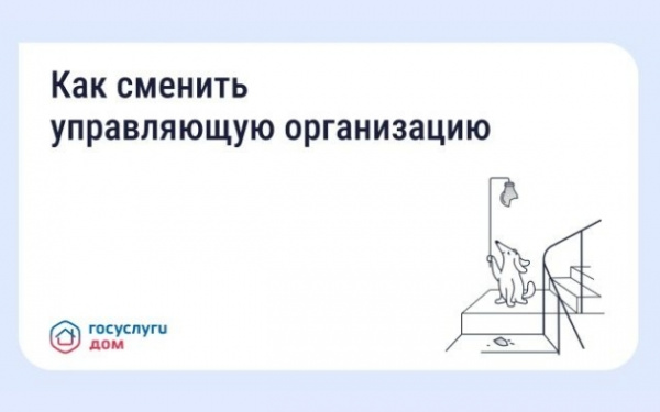 Что делать, если вы недовольны работой управляющей организации