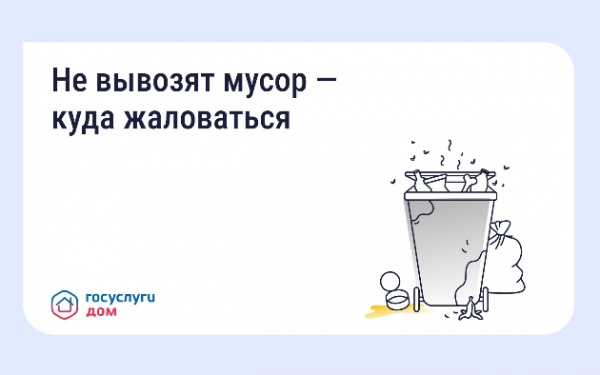 Не вывозят мусор — куда жаловаться